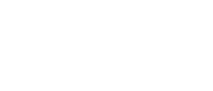 Logo_weiß_Bauer Elektrotechnik Gilching