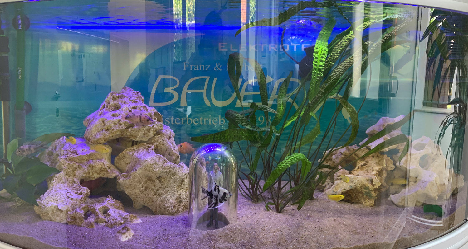 Aquarium 4 - Bauer Elektrotechnik Gilching - Ihr Spezialist für Elektrotechnik in Gilching, Starnberg, Germering, Fürstenfeldbruck und München